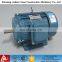 Y Type Cast Iuron Casing Housing Electric Motor Three Phase Induction Motor