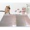New version strongly adhesive sticky rat disposable cardboard glue mouse trap