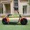 2016 newest citycoco 2 wheel electric bike ,two wheel self balance electirc scooter