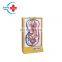 HC-S279  Medical Science Electric Blood Circulation Model/Blood Circulation Model for Medical Teaching