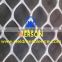 werson plastic flat netting,plastic mesh Opening Size: 0.5cm