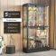 High-Quality Glass Display Cabinets for Collectibles for Retail And Exhibitions