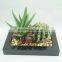 Indoor decorative artificial plants cactus and succulent series with oblong pot