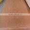0.30mm gurjan face veneer for india market