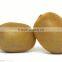 Leader low price kiwi washing and peeling machine for food processing