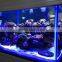 best for Coral Reef Growing DC12V IP68 Waterproof 18W LED aquarium light