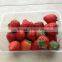 fresh strawberry storge container