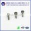 Guangdong factory micro self tapping screws