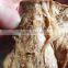 "Vegetarian Loved" Soya Meat /TVP/Soya Protein Making Machine