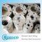 hot selling high quality exhaust pipe flange,exhaust flange gasket