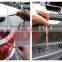 Gap Gauge, Body Service Tools of Auto Repair Tools