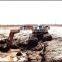 JYFT-290 Amphibious Undercarriage for Swamp Excavator