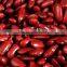 China Dark red kidney beans for sale