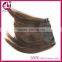 Top beauty hot selling 100% human hair bang