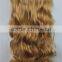 F6660 blonde hair weave,hair weave manufacturers,wholesale hair weave