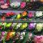 supple with best price Tissue Paper Hanging Decorative Fan Green Wholesale Party Supplies