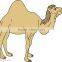 high quality 4C stars camel birds eco-friendly lips body temporary tattoo