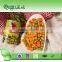 types of canned food factory 3000g canned peas and carrots
