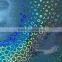 Best holographic high security anti-counterfeit laser flim for packages