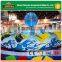 Beautiful&fun amusement park products of ocean theme magic disk ride for sale