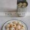 Canned Vegetables