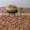 Roasted Buckwheat Kerner With Best Price