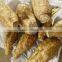 BNP Supply Best Natural Kudzu Root Extract