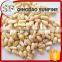 Raw organic pine nuts in shell