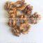 Raw Processing Type Light Amber Halves Walnut Kernel
