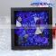 save10% 5pcs of preserved blue rose in Preserved Flower Photo Frame for home or office decoration
