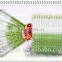 Eco-friendly Wooden Chopsticks
