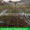 High quality cover mesh used greenhouse frames