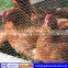 Hexagonal chicken wire mesh,galvanized hexagonal chicken wire mesh,pvc coated hexagonal chicken wire mesh(professional factory)
