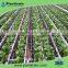 Chinese Agricultural Column Emitter Irrigation Drip Line