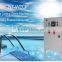 Global sales lead vegetal and mineral waste water industrial ozone generator 30g/h