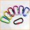 Fashion High Quality custom snap carabiner