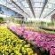 Glass Greenhouse-1
