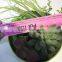 brand name plastic small multicapacity process artificial round plate bonsai decor