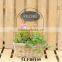 Home decorate wicker vase & flower basket