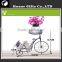 Fashion Design Wrought Iron Bicycle Plant Stand Decoration Bicycle Flower Stand