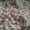 New Crop Chinese 4.5cm Pure White Fresh Garlic In 10 kg Box packing