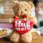 Hug teddy bear Hugging Lovers bear