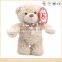 Small stuffed fluffy teddy bears plush toys with colorful ribbon