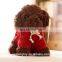 new products plush teddy dog toys with sports T shirt