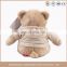 high quality stuffed teddy bear soft toys with custom logo clothes/plush teddy bear in hoodie