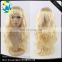 2016 women high temperature wire inclined long hair a little curly wig