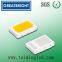 3020 SMD LED