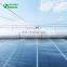 Polycarbonate Hollow Sheet For Low Cost Greenhouse For Big Area Vegetable Plant