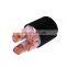 300mm2 XLPE Insulated PVC Sheathed Power Cable