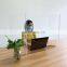 New Arrival Custom Acrylic Sneeze Shield Foldable Protective school Folding Screen Office Desk Divider